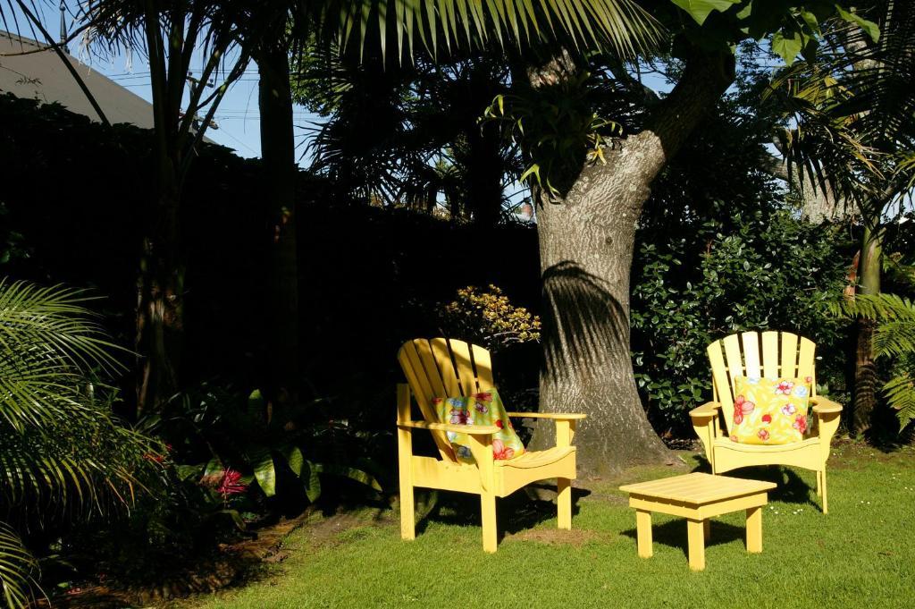 Eden Park Bed And Breakfast Inn Auckland Esterno foto